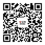 麻将胡了数码精品